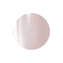 レイジェルマグネットカラージェル 040MG