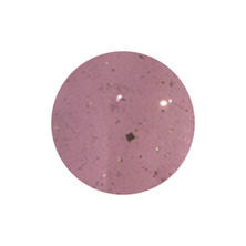 [PDU-GB964] プリムドール ミューズ リグロースフラワー 3g