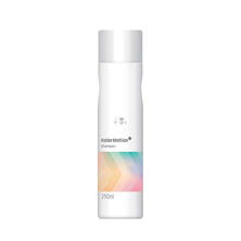 カラーモーション+ シャンプー 250ml
