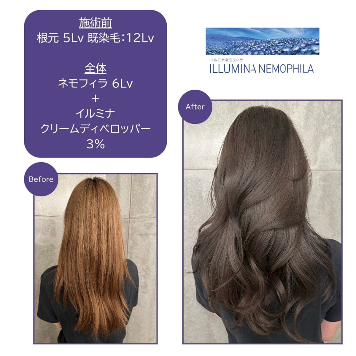 イルミナカラー 透明感チャージセットの卸・通販 | ビューティガレージ