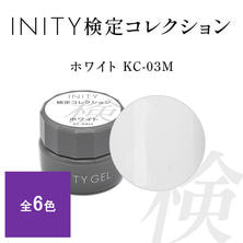 INITY 検定コレクション カラージェル 3g