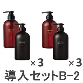 Ladulla（ラデュラ）導入セットのスキャルプケア用シャンプー商品の卸