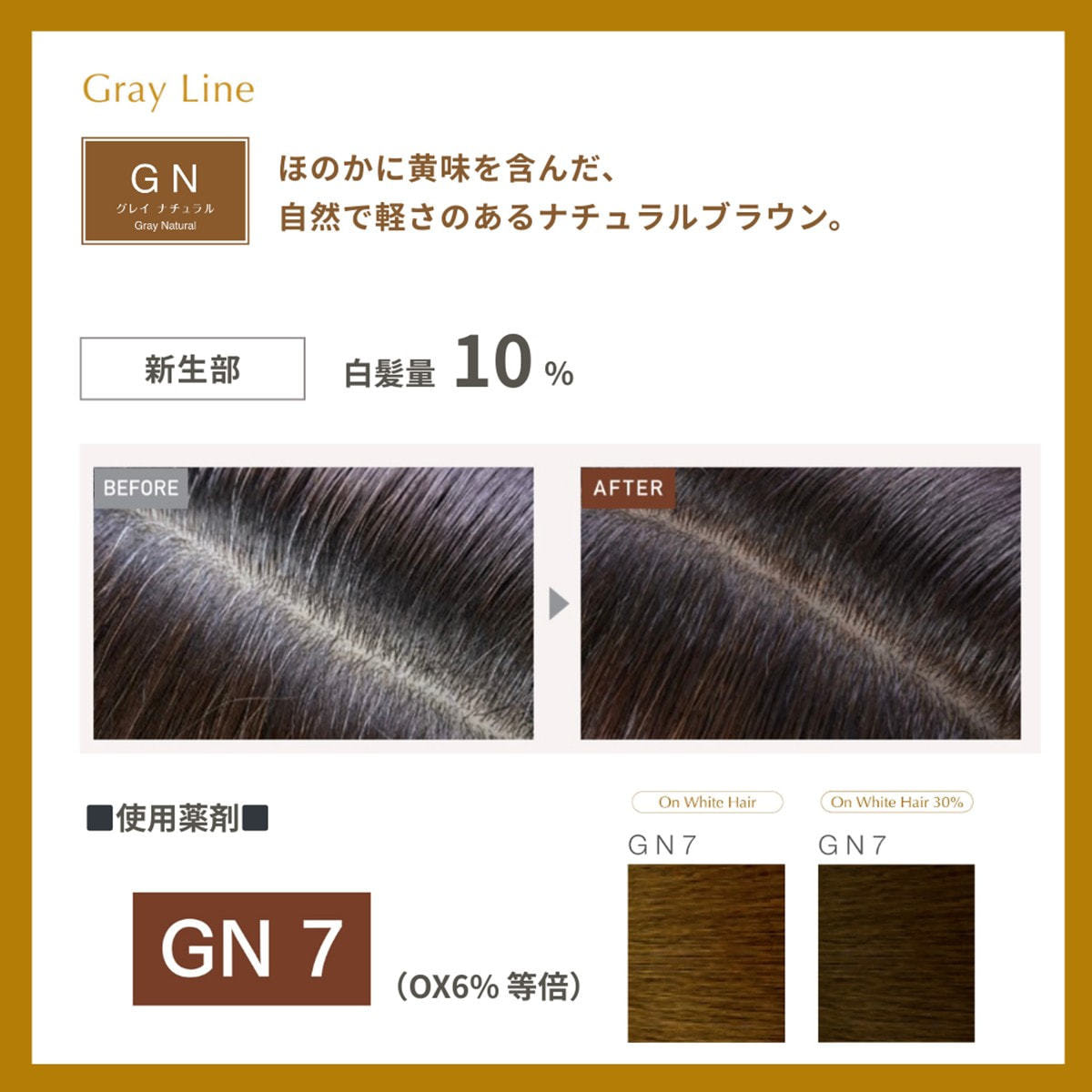 プロステップ GN7 80g《グレイカラー》【医薬部外品】の卸・通販