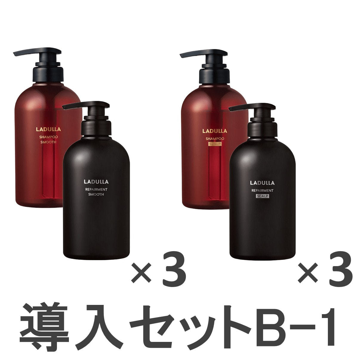 ラデュラ 初回導入セット B-1の卸・通販 | ビューティガレージ