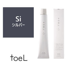トエルカラー Si(シルバー)100g《ファッションカラー》【医薬部外品】