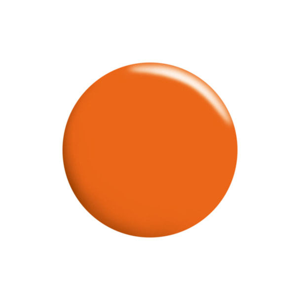 Calgel（カルジェル）カラージェル フレッシュオレンジ 4gの卸・通販 | ビューティガレージ