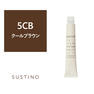 サスティノ 5CB 80g《グレイカラー》【医薬部外品】 1