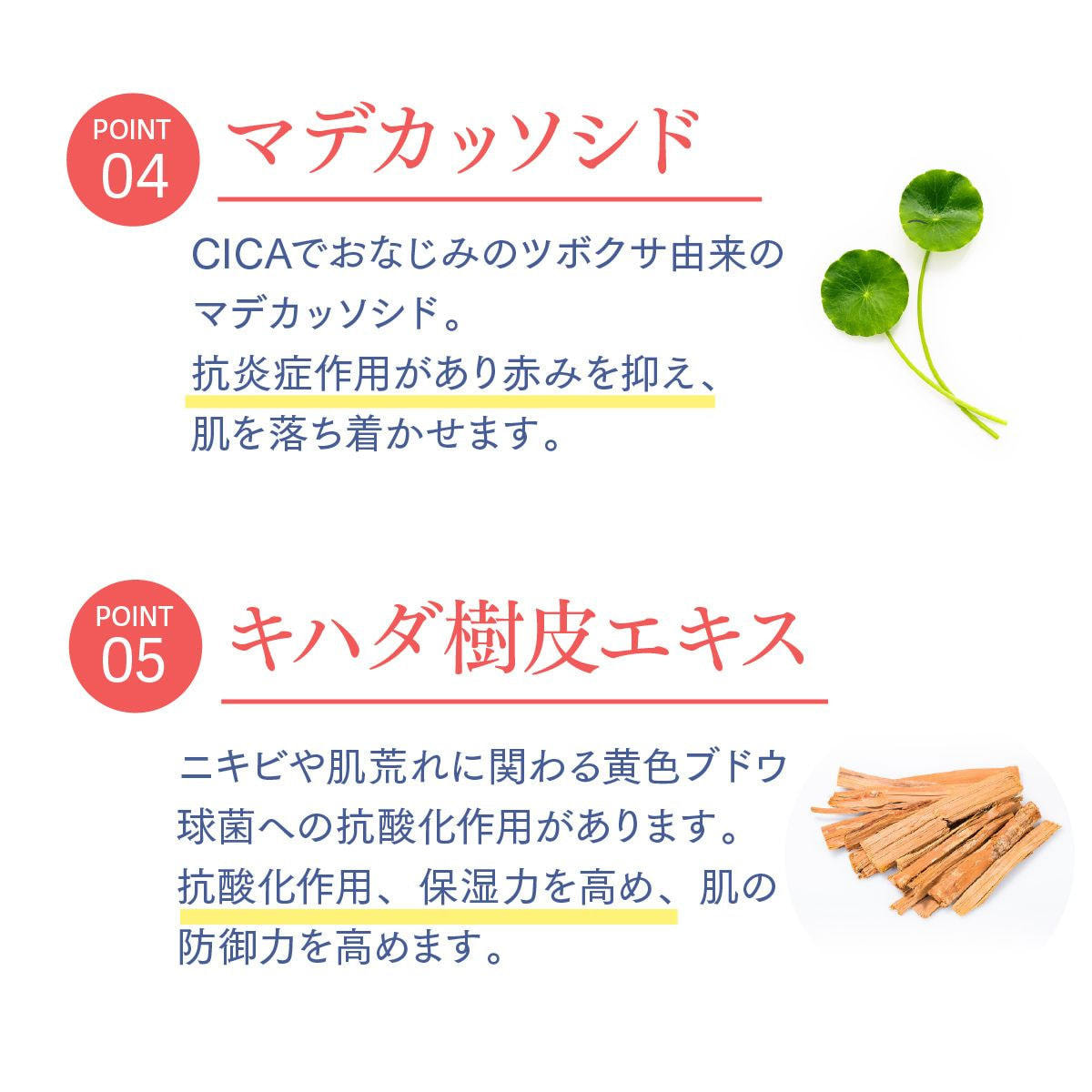 JC PROGRAM JC 水光クリーム 30gの卸・通販 | ビューティガレージ