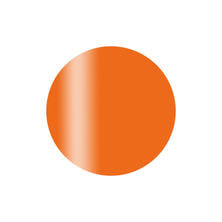 Calgel カラーカルジェルプラス ロコオレンジ 2.5g