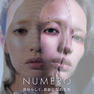 【松風】NUMEROボリュームラッシュ＜シコン＆アイスモーブ＆アンティークアイアン＞ 6