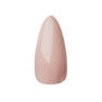 GELIST カラージェル 025-PK-09 Sea Shell 1
