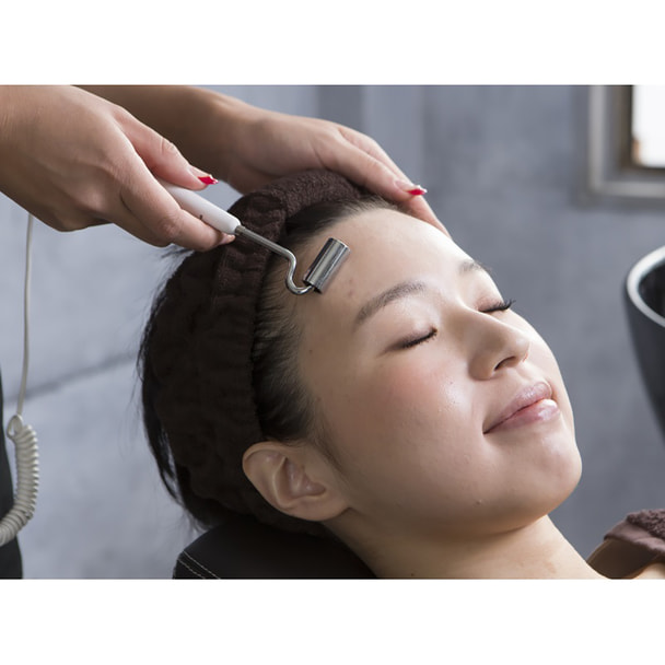 業務用イオン導入器NVT01の卸・通販 ビューティガレージ