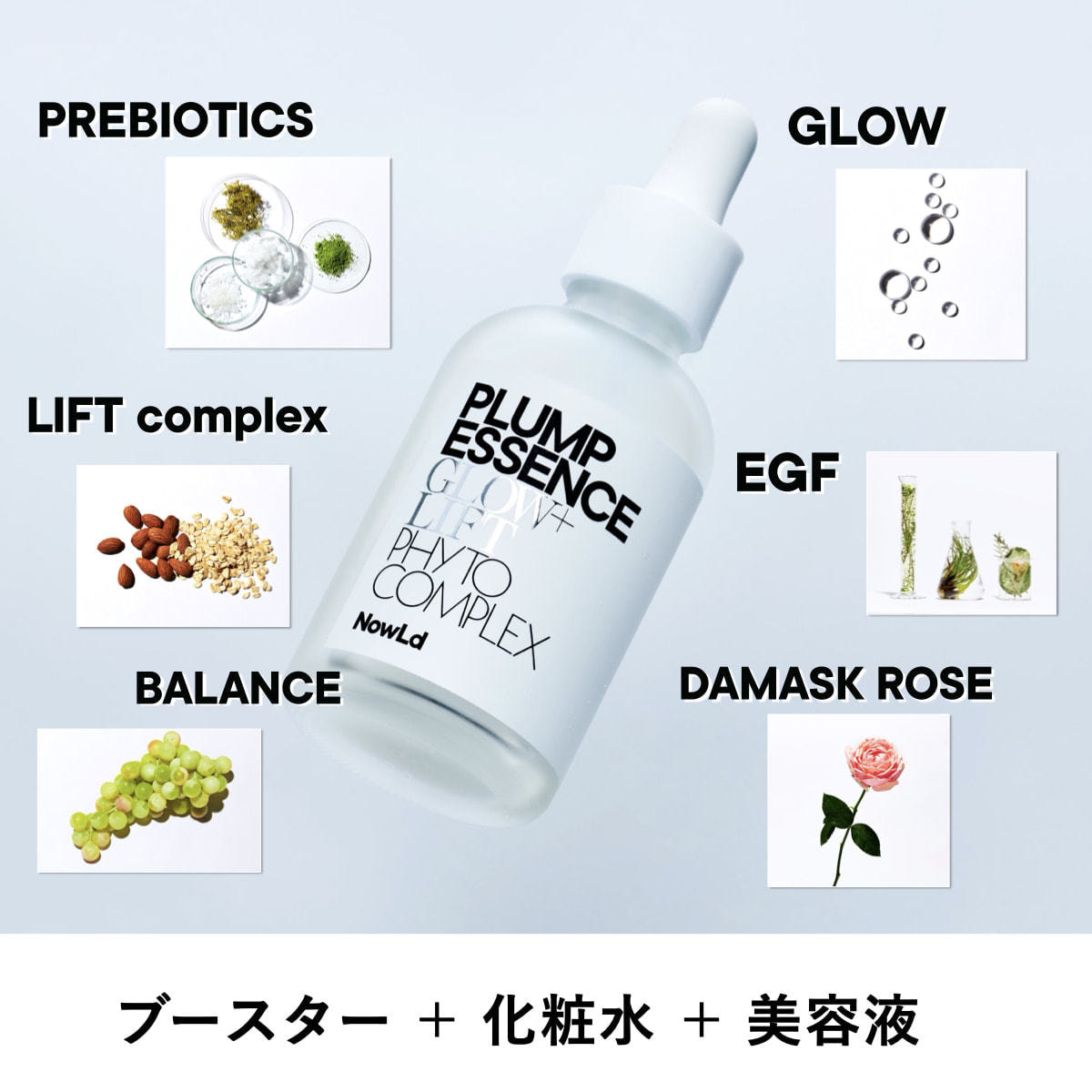 NowLd ノルド プランプエッセンス NowLd ノルド プランプエッセンス（美容化粧液）の卸・通販