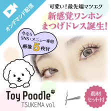  最新!!＜トイプードル・ワンホンボリューム＞ ディプロマ＆SNS画像データー＆商材セット
