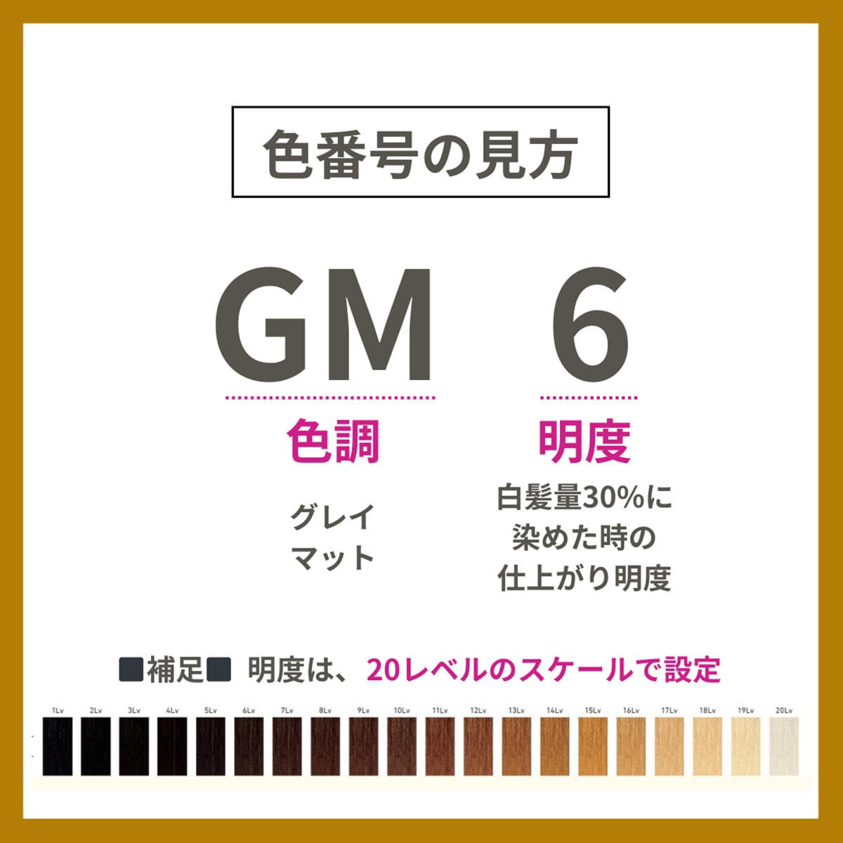 プロステップ GM6 80g《グレイカラー》【医薬部外品】の卸・通販