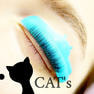 【Flap eyelashes】キャッツロッド 7