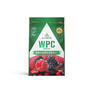 ALPRON WPC（ホエイプロテイン）ミックスベリー風味 900g 1
