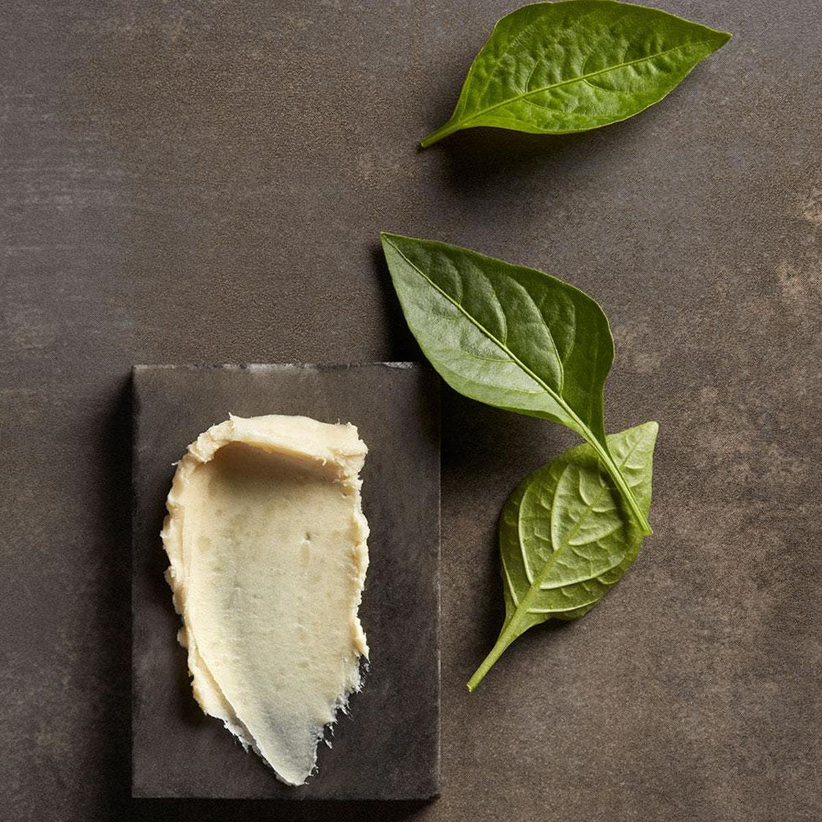 OPI プロスパ ASC50 プロスパ インテンシブ カルススムージングバーム