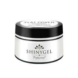 SHINYGEL Professional（シャイニージェル プロフェッショナル