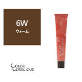 カラーコンシャス 6W(ウォーム)《ファッションカラー》 80g【医薬部外品】