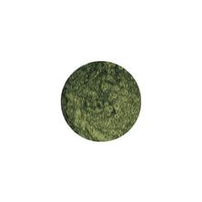 [B54] プリムドール 深海の森