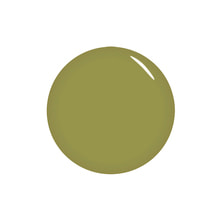 STORYJEL365 カラージェル 森林 2g（SJS-064M-2G）