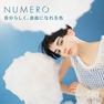 【松風】NUMEROフラットラッシュ＜シアーブルー&グレーMIX＞ 8