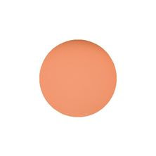 [CEN255]プリジェル カラーEX ミルクティーR