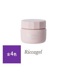 リッカジェル アイアンサンドジェル 2.7g