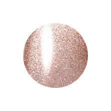 レイジェルマグネットカラージェル 010MG 5g