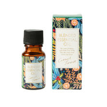 【数量限定】生活の木 ウィンターシトラス ブレンドエッセンシャルオイル シトラス＆フォレスト 10ml