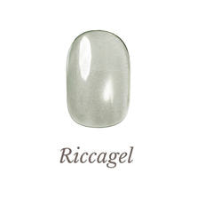 リッカジェル アイアンサンドジェル FE11 3g