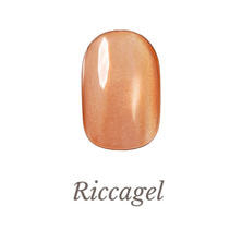 リッカジェル アイアンサンドジェル FE16 3g