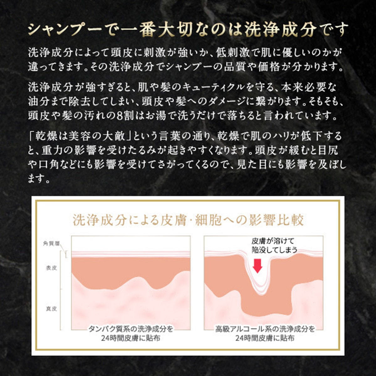 テラケア シャンプー 500mlの卸・通販 | ビューティガレージ