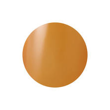 Raygelカラージェル058C