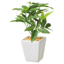 フェイクグリーン 観葉植物<パキラ>3個セット(卓上) フェイクグリーン 観葉植物<パキラ>3個セット(卓上)
