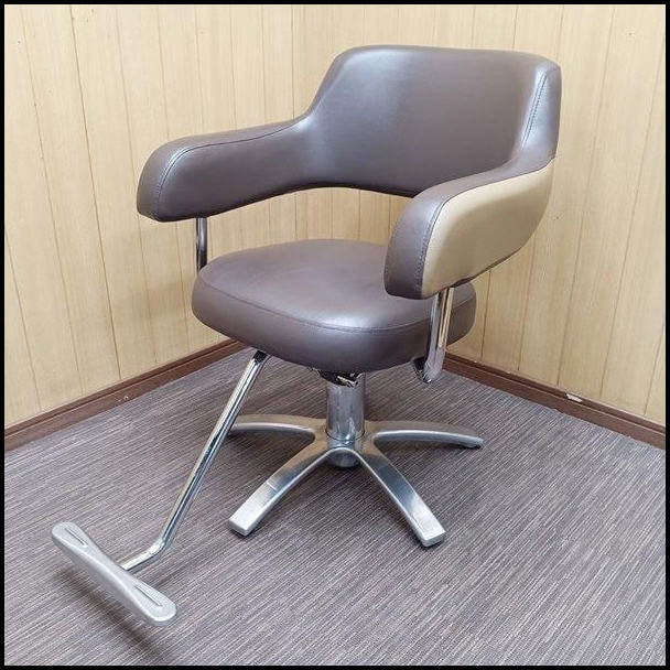 タカラベルモント スタイリングチェア Minamo ミナモ ツートン 1