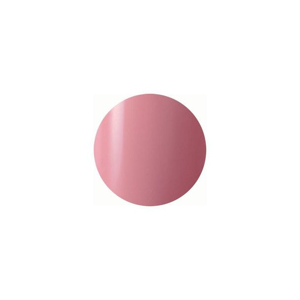 VETRO（ベトロ） カラージェル VL300A Baby モーヴ 4ml