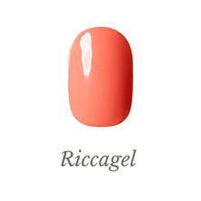 リッカジェル カラージェル 395M 3g