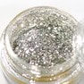TSUMEKIRA×HIDEKAZU セレクトグリッター シャインシルバー（HID-GLI-105） 2