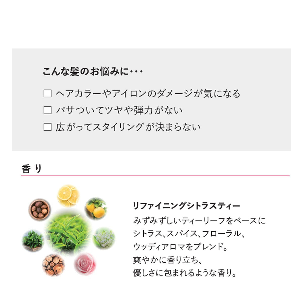 リファイニンググロウ トリートメント 500gの卸・通販 | ビューティ