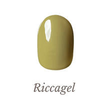 リッカジェル カラージェル 235M 3g