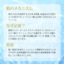 BiEST ビエスト PureEssence ヒアルロン酸 30ml 3