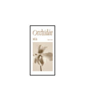 メゾンオルキデ リッチミルクサシェ（5ml）