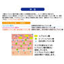 デマレ カラーコントロールUV PK（ピンク）50ml【店販用】 4