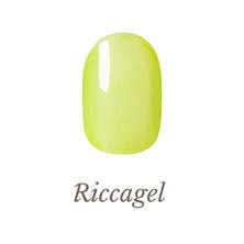 リッカジェル カラージェル 304S 3g