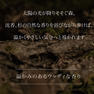 ARTiS di Voce ハイドレーティングハンドクリーム 40g 3305 CEDAR GROVE 3