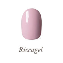 リッカジェル カラージェル 204M 3g