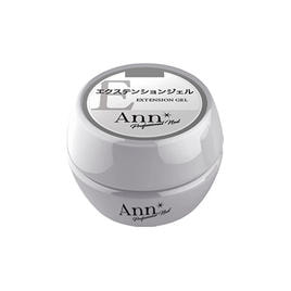 Ann professional フットLED&UVライト デミルナの卸・通販