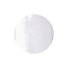 レイジェルマグネットカラージェル 042MG